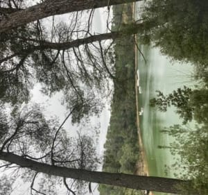 Tour du lac de la Cavayère - Carcassonne - 3