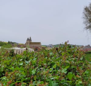 Promenade de l'eau par Houdan et la Chapelle-Saint-André - Varzy - 2