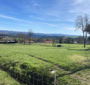 Marche jusqu’au château d’Alleuze - Villedieu - 2