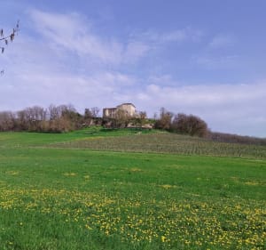 Sentier Vignoble et châteaux par Cahuzac et Mauriac depuis Boissel - Gaillac - 2