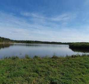 Forêt/Loire à velo/ château de Sully sur Loire - Bouzy-la-Forêt - 2