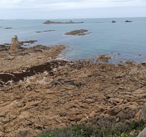 De Térénez par la Pointe du Diben et Kerbabu - Plougasnou - 2