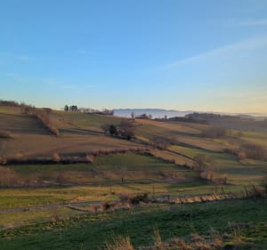 Dans les Monts du Lyonnais, par Grand Mont, depuis Riverie - Riverie - 3