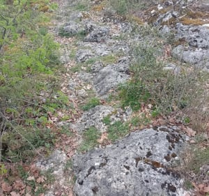 Chemin de la croix en boucle et sentier du Solitaire - jeremie - 3