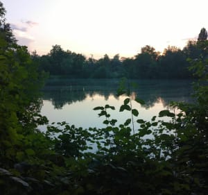 Entre ballastière et étangs à Bischheim - Pascale - 2