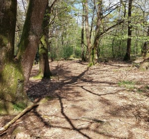 Parcours VTT autour de Plédran - Yffiniac - 2