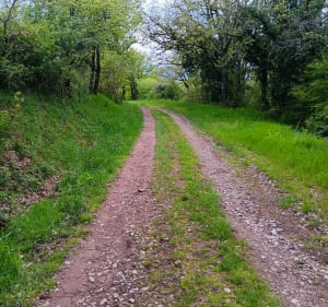 Chemin du Puech d'Escarts - Najac - 2
