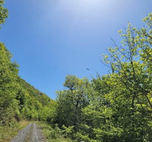 Pic de Campoun depuis le château de Bagen - Sauveterre-de-Comminges - 2