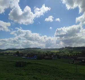 Dans la campagne autour de Douvrend - Douvrend - 2