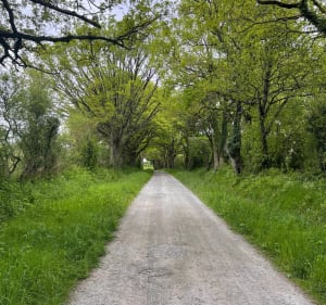 Promenade le long de la Sarthe - Sablé-sur-Sarthe - 2