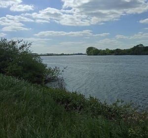Boucle entre Rezé et Mauves-sur-Loire - Rezé - 2