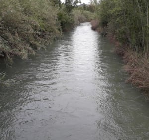 Llano de Blay Pedralba - Pedralba - 2