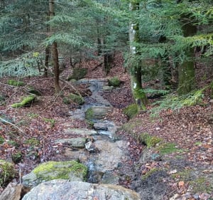 Tour d'Oriol et gorges de la Semène - Saint-Paul-en-Cornillon - 2