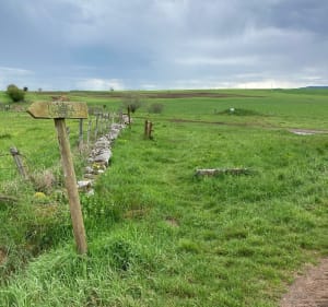 Balade Coltinoise par La Planite - Coltines - 2