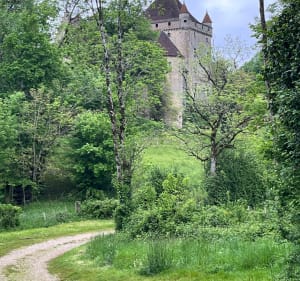 De la voie romaine au château du Pin (Jura) - Le Pin - 2