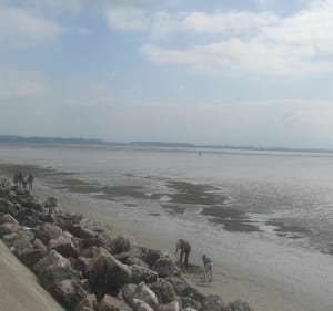 Sortie Quend-Plage/Le Crotoy - DAVID - 5