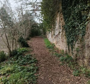 Balade entre Grolejac et Carsac par Gazaille, en longeant la Dordogne - Groléjac - 2