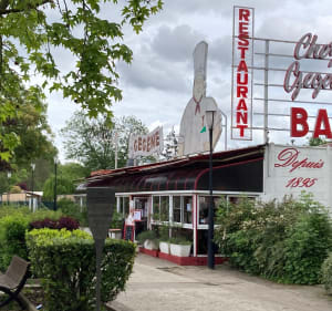 La Marne de Champigny-sur-Marne à Chelles - JEROME - 3