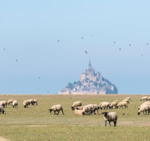 Traversée Bretonne : J12 Du Vivier-sur-Mer au Mont-Saint-Michel - Le Vivier-sur-Mer - 2