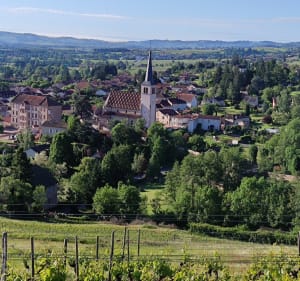Marche à St-André-d'Apchon - Saint-André-d'Apchon - 2