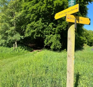 À la découverte du GR12 autour de Compiègne - Compiègne - 2