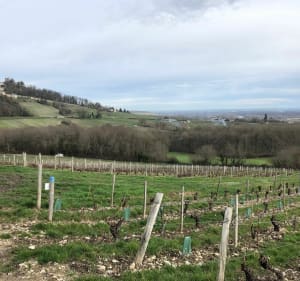 Tour de Sancerre et Saint-Satur - Sancerre - 2
