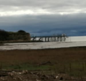 Barzan, Talmont sur Gironde en passant par les marais - Annette - 3
