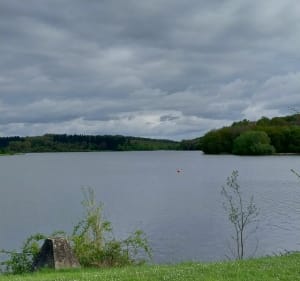 Bosroute van Valjoly langs het water - Willies - 2