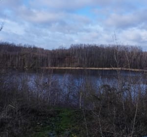 Le terril de Germignies, et Bassins de Lagunage - Lallaing - 2