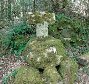 Boucle de Saint-Jagut et Château de Lesmaës - Plestin-les-Grèves - 2