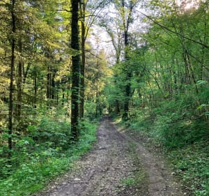 A Verbiesles, en passant par la cabane de chasse - Pauline - 4