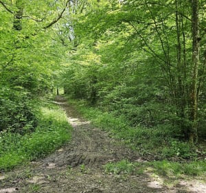 Chambeire - Vaux - Cessey-sur-Tille en VTT - Chambeire - 2