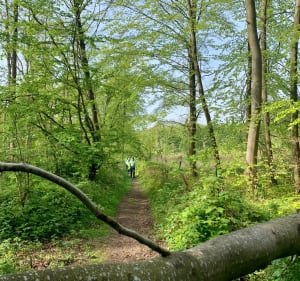 Servins 10 km de nature et de calme - Servins - 2