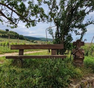 Les grands cru d'Obermorschwihr - Obermorschwihr - 2