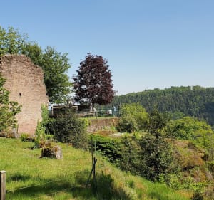 Boucle de l'étang de Ramsthal au bois des Chênes - Saverne - 2