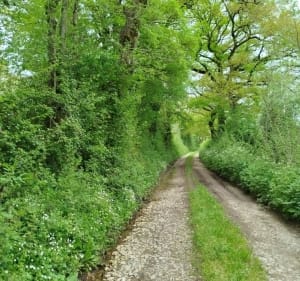 Boucle le Cayrol - Plious - Sévérac-d'Aveyron - 2