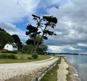GR34 et sa petite balade à Kerners - Arzon - 3