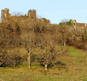 À la découverte du Château de Mauzun - Bongheat - 2