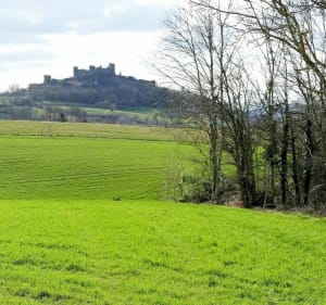 À la découverte du Château de Mauzun - Jean-luc - 3