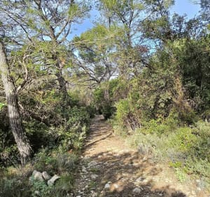 Rando autour des bois de Lens - PATRICK - 3