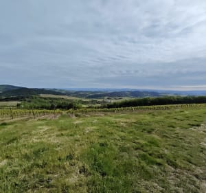 Villelongue d'Aude par le Bayle - Villelongue-d'Aude - 2