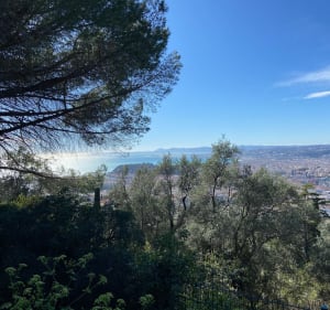 Tour du Vinaigrier au départ du Col de Villefranche - Beaulieu-sur-Mer - 2