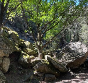 Rando dans les gorges d’Héric - Mons - 2