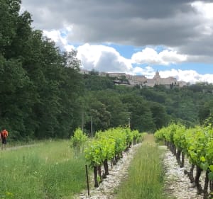 Vénasque et les gorges de la Nesque (84) - Venasque - 2