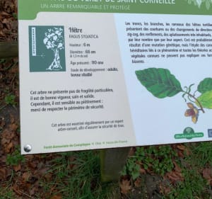 Randonnée aux Beaux Monts - Eric - 3