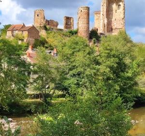 Hérisson, Châteloy, rives de l'Aumance - Hérisson - 2