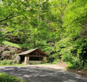 Découverte de la Réserve Naturelle de Nohèdes - Nohèdes - 2