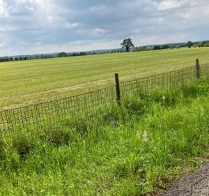Petite balade champêtre dans la zone de loisirs de Keskastel - Keskastel - 2