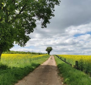 Balade dans le Val Suzon - Messigny-et-Vantoux - 2