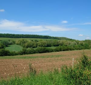 Circuit de la mirabelle - Ferrières - Ferrières - 2